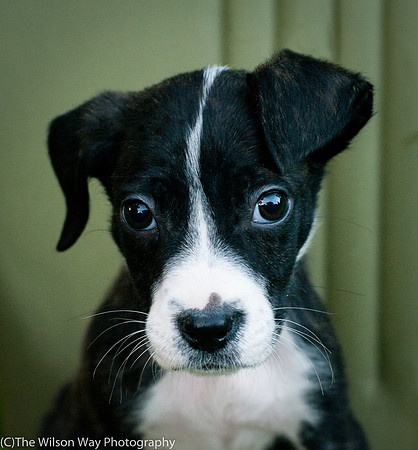 Foster Bennett-3865