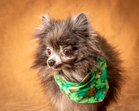 Foster Loretta-1242