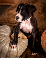 Foster Bennett-6358