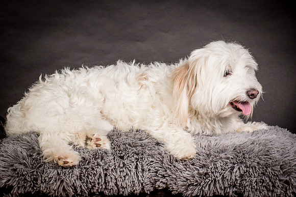 Foster Frosty-0625