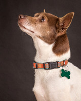 Foster Gus-0303