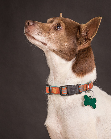 Foster Gus-0303