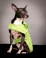 Foster Luc-9723