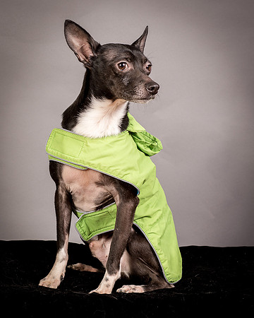 Foster Luc-9723