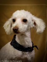 Foster Loretta-0196