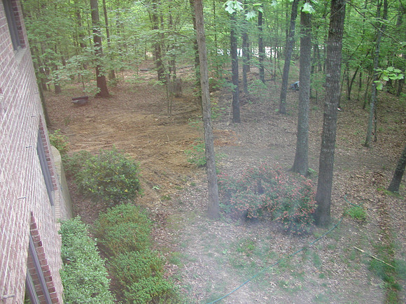 Septic Tank-1010042