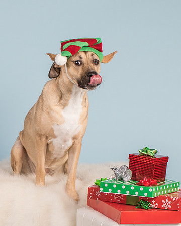 Robinson-4690