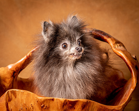 Foster Loretta-1311