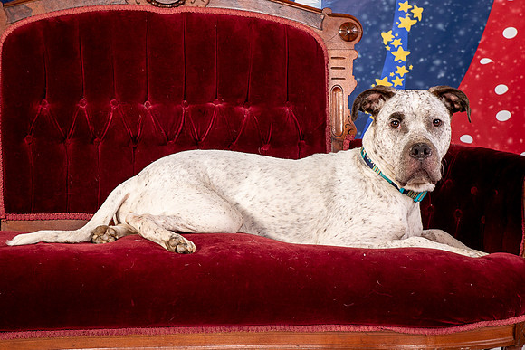 Foster Sylvester-0955