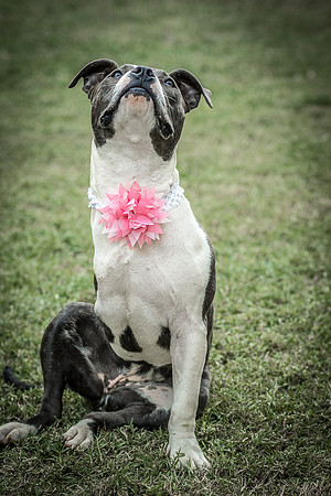 Foster Maya-0337