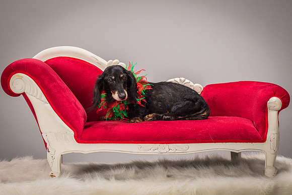 Foster Bernice-3755