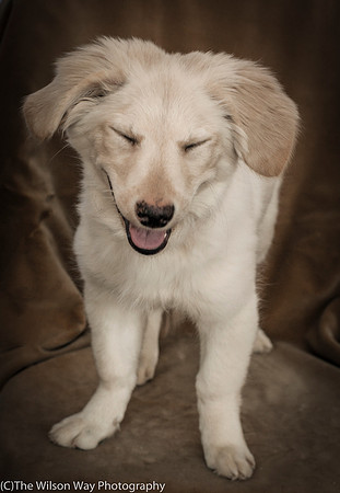 Foster Stephanie-9587