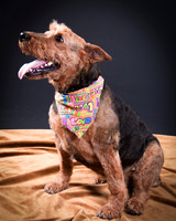 Katie-5301