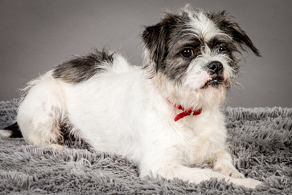 Foster Leeza-2622