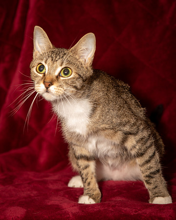 Foster Danni-9466