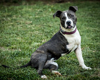 Foster Maya-0209