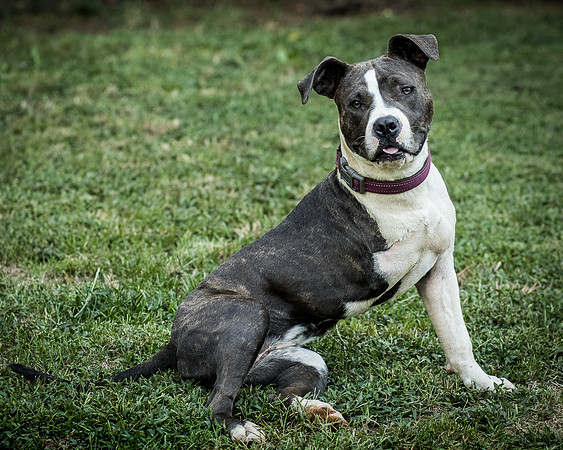 Foster Maya-0209