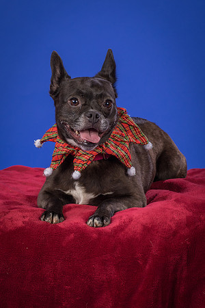 Slattery-Bella-0082
