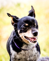 Foster Leela-7950