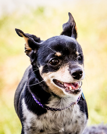 Foster Leela-7950