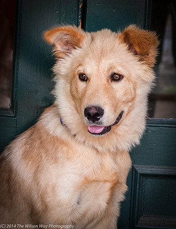 Foster Presha-9438