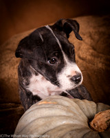 Foster Bennett-6326