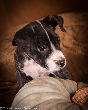 Foster Bennett-6326
