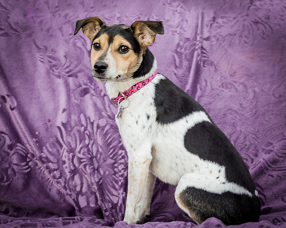 Foster Buffy-5621