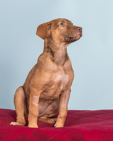 Foster Bronwyn-8362