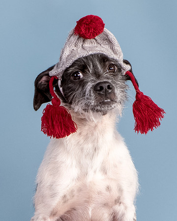 Foster Billie-8244