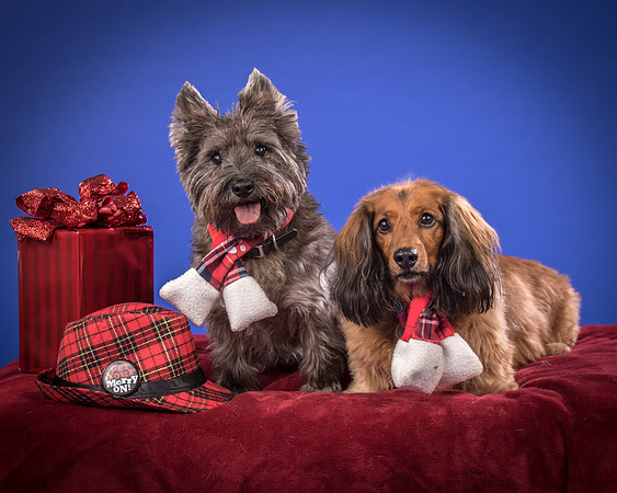 Sauls-Brodie and Baxter-5533