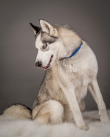 Foster Aspen-7590