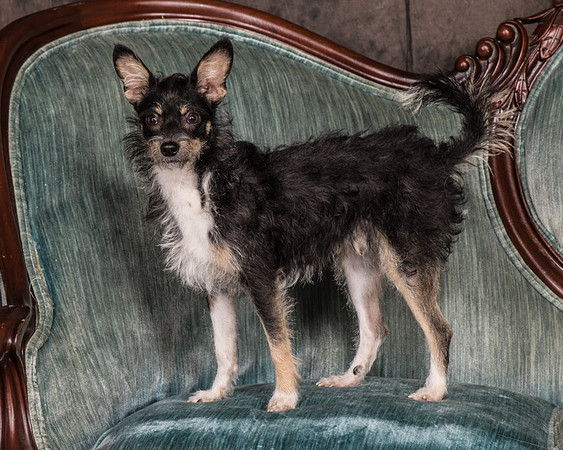 Foster Riley-4798