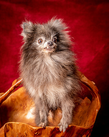 Foster Loretta-1345