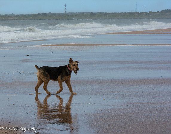 layla posing on her birthday saint augustine 3-2799