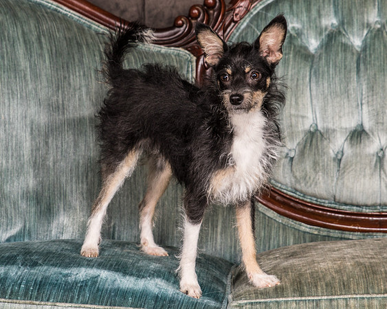 Foster Riley-4804