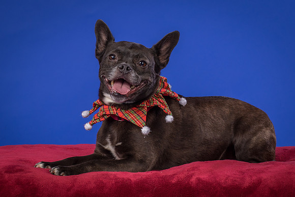 Slattery-Bella-0104