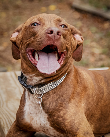 Foster Caitlyn4870