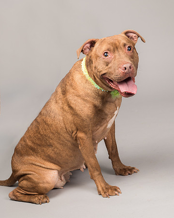 Foster Coco-2091