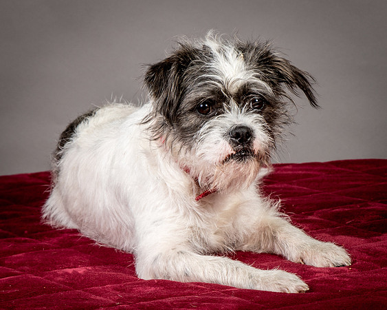 Foster Leeza-2765