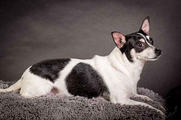 Foster Richa-0491