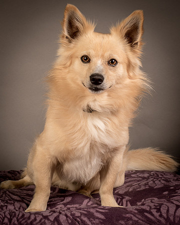 Foster Sergio-8044