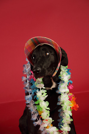 Calendar Bloopers-8752