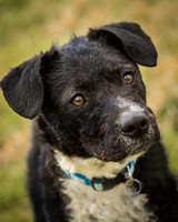 Foster Maynard-9056