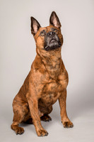 Foster Beans-2260