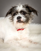 Foster Leeza-2556