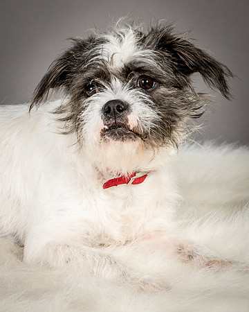 Foster Leeza-2556
