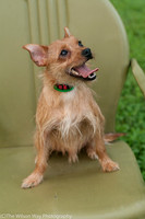 Foster Harry-3634