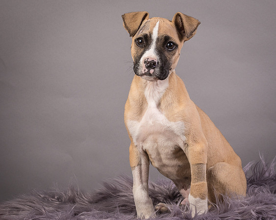 Foster Barnabas-4495
