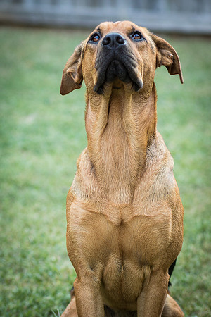 Foster Maya-0393